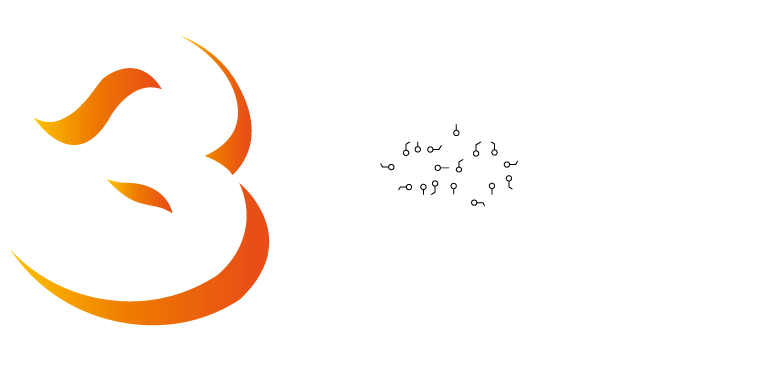 dipf 3d solution white logo